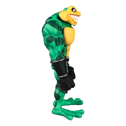 Zitz Battletoads Anthology Series Action Figure Wave 1 15 cm